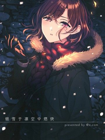 (c99)银雪于凛空中燃烧