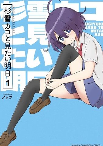 与杉雪夏子的明天