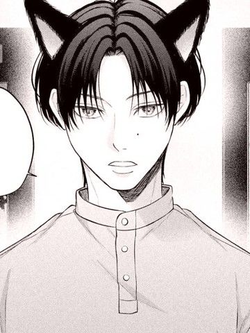 冷酷猫咪的恋爱姿态