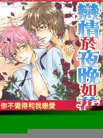 恋情于夜晚如花绽放